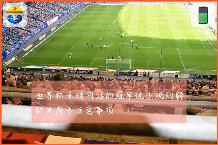 世界杯竞猜网站的冠军玩法规则解析及新手注意事项