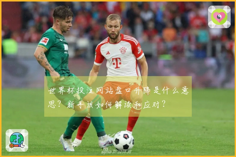 世界杯投注网站盘口升降是什么意思？新手该如何解读和应对？