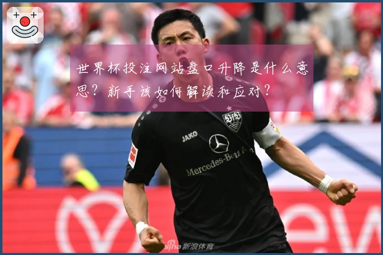 世界杯投注网站盘口升降是什么意思？新手该如何解读和应对？