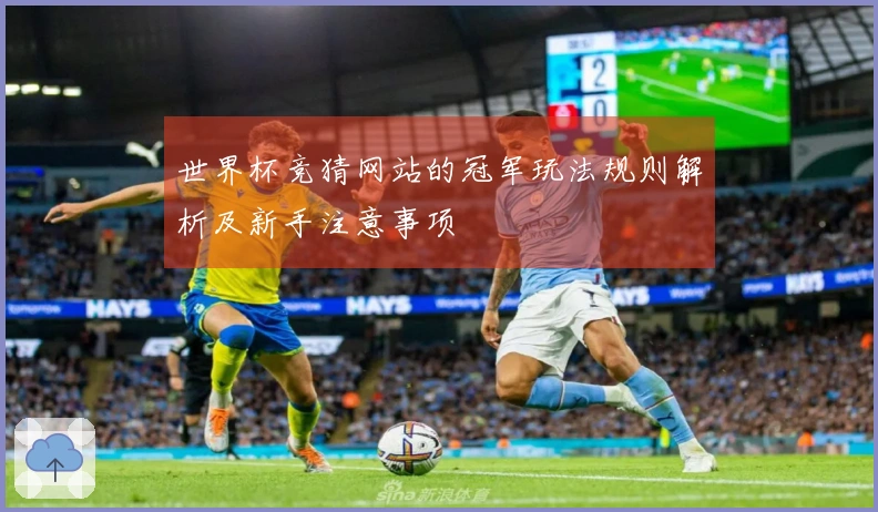 世界杯竞猜网站的冠军玩法规则解析及新手注意事项