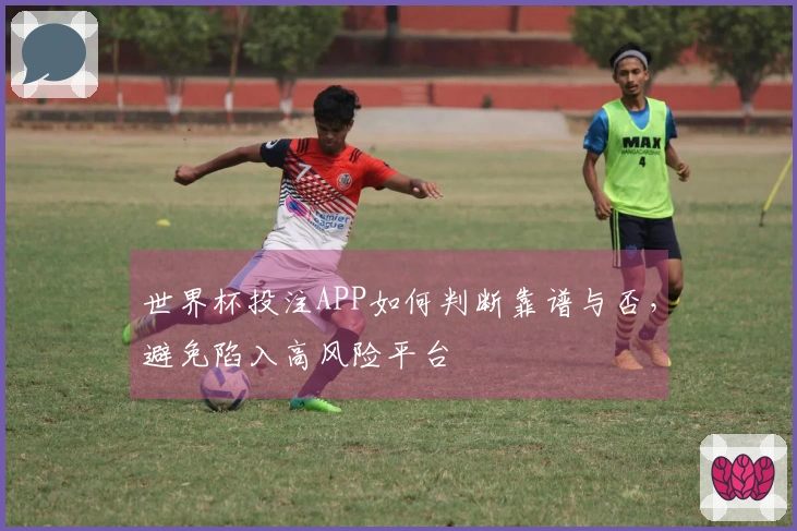 世界杯投注APP如何判断靠谱与否，避免陷入高风险平台