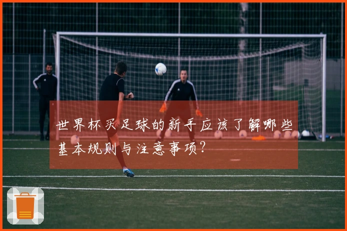 世界杯买足球的新手应该了解哪些基本规则与注意事项？